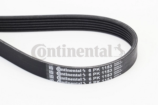 V-ribbed Belt